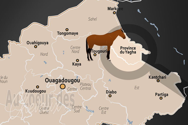 La localisation de la Province du Yagha au Burkina Faso