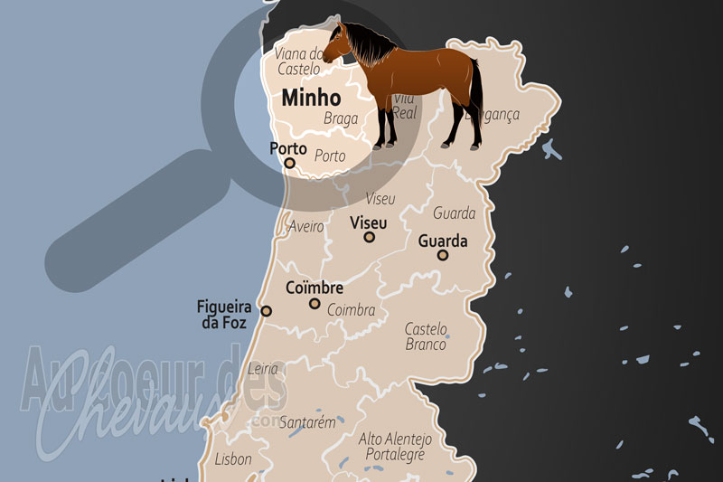 La localisation de la Province Historique de Minho au Portugal