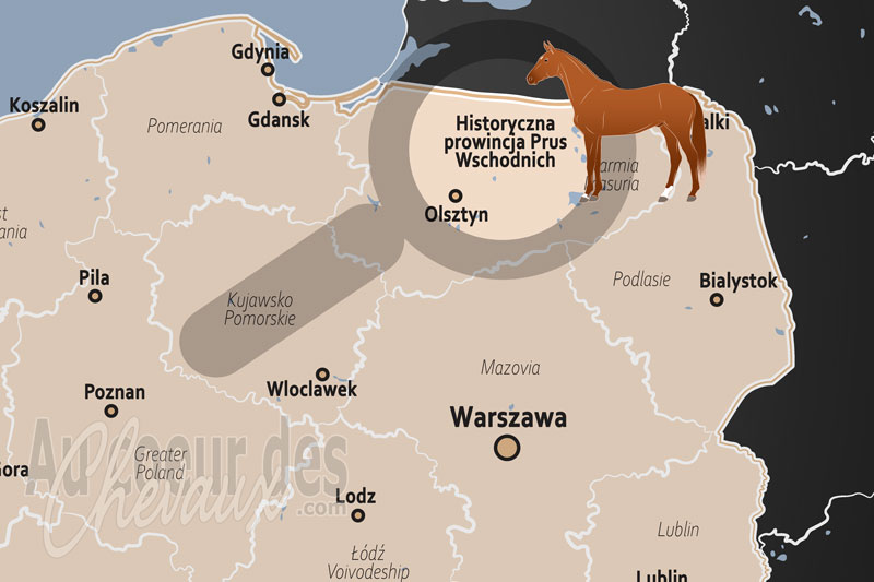 La localisation de la Province Historique de Prusse Orientale en Pologne