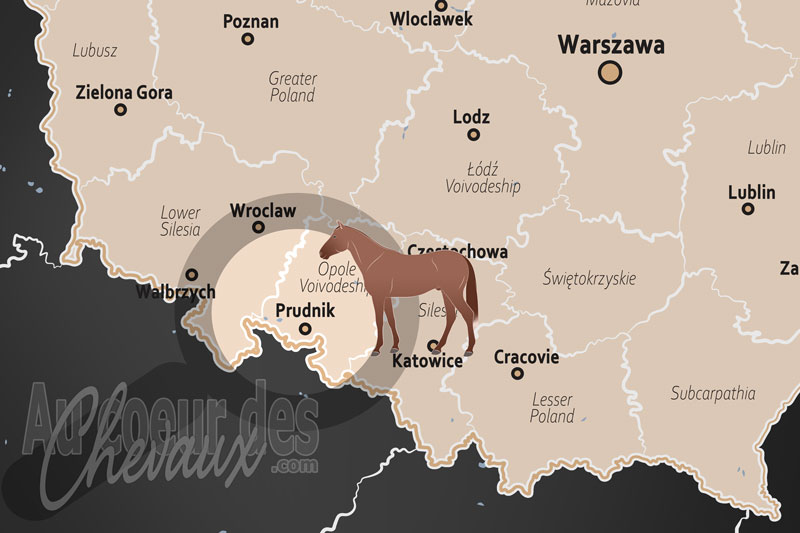 La localisation de Prudnik en Pologne