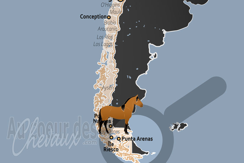 La localisation de Punta Arenas au Chili