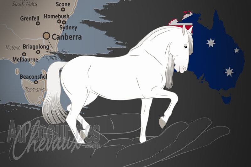 La Pura Raza Espa�ola Association of Australasia un organisme de race en Australie