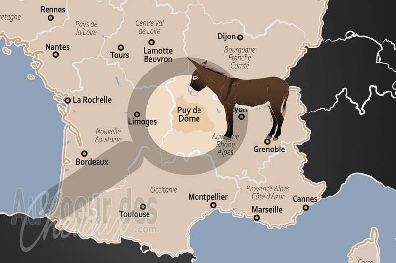 Le D�partement du Puy de D�me, terre des volcans et berceau de la renaissance du cheval d'auvergne