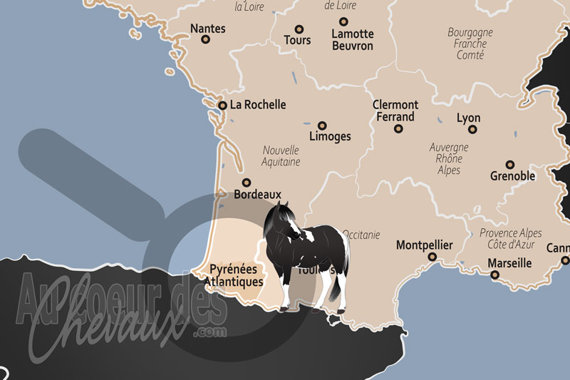 Le D�partement des Pyr�n�es Atlantiques, terre d'�lite sportive et berceau du pottok