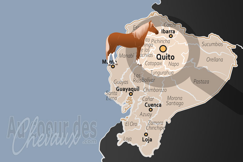 Quito, l'�quitation des sommets, entre tradition andine et modernit�
