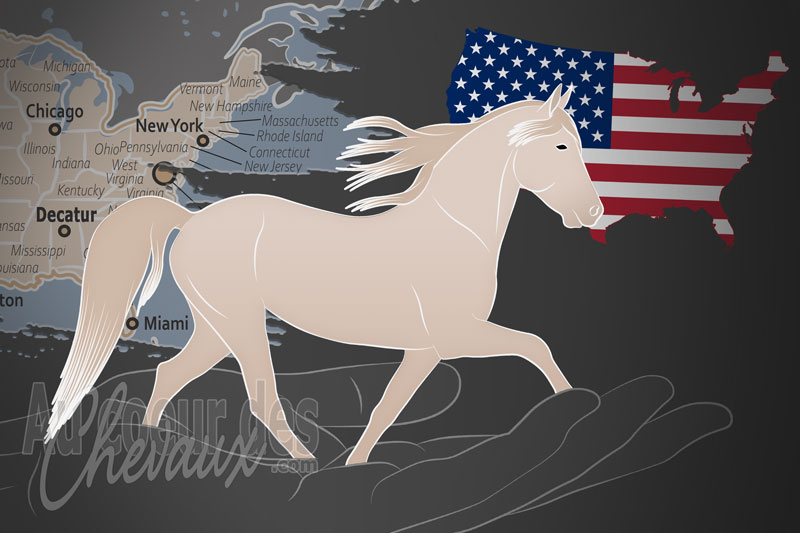 L'Association des �leveurs de Chevaux de Course d'Am�rique, un organisme de gestion du racking horse aux �tats unis