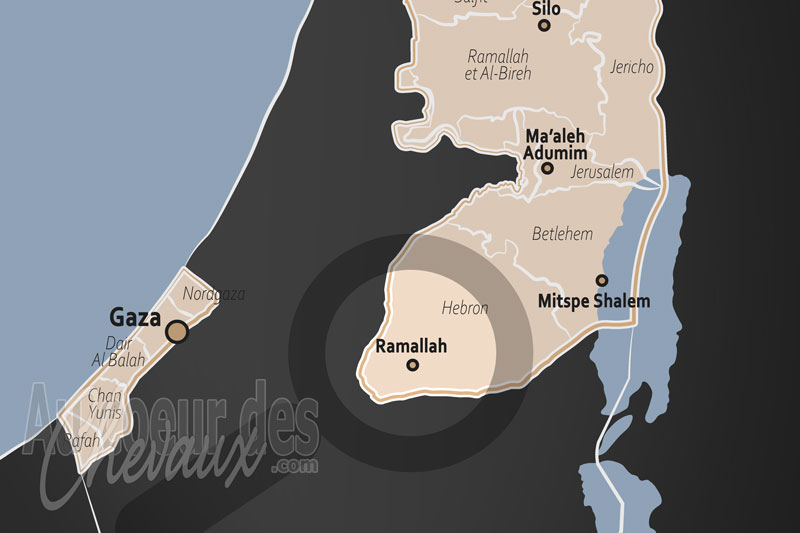 Ramallah, carrefour de l'h�ritage arabe et de la r�silience �questre