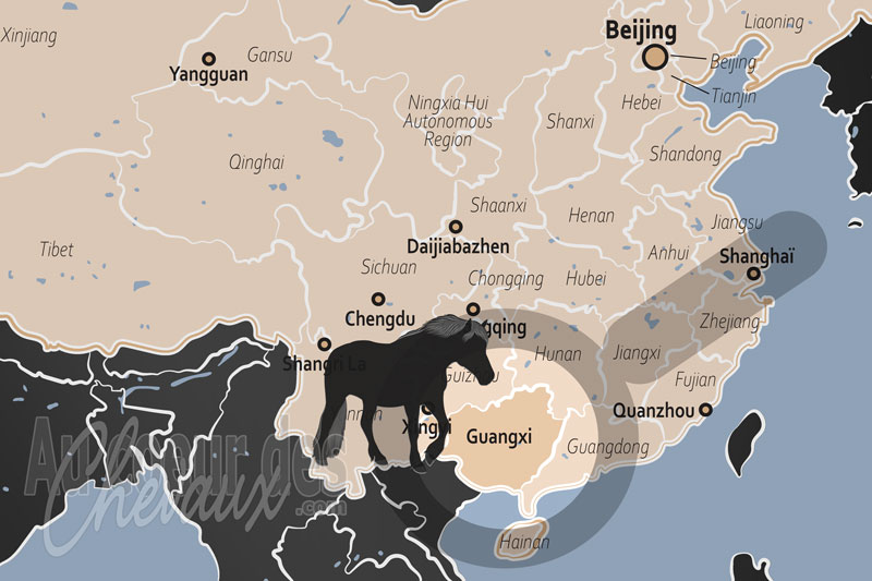 La R�gion Autonome de Guangxi, le sanctuaire du poney de debao et de la force des karsts