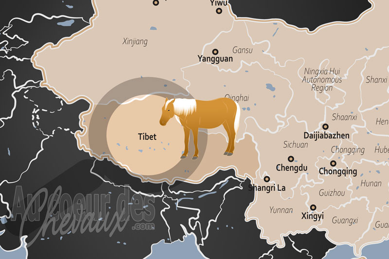 La R�gion Autonome du Tibet, le destrier des hauts plateaux et le souffle du � cheval de vent �