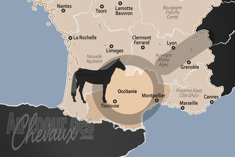 La R�gion d'Occitanie, des sommets pyr�n�ens aux lagunes de camargue