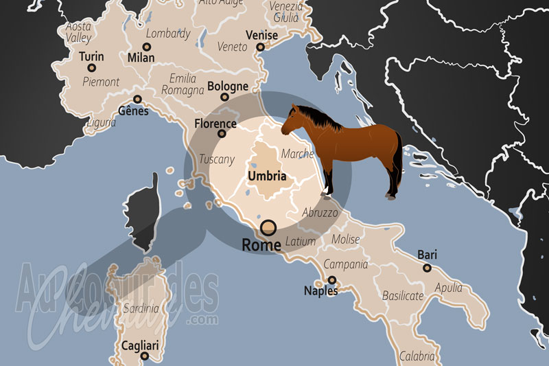La R�gion d'Ombrie, le c?ur vert de l'italie au rythme des sabots