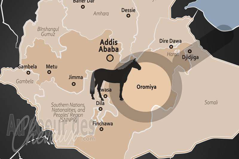 La R�gion d'Oromia, l'�me au galop sur les hautes terres d'abyssinie