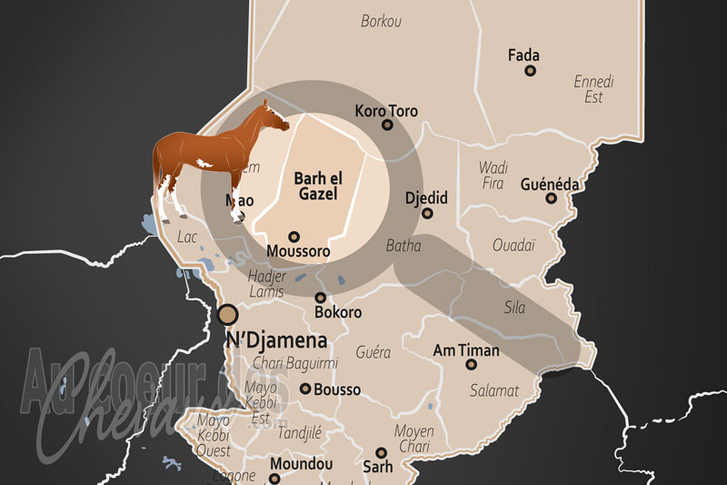 La R�gion de Barh El Gazel, l'�quid�, souffle de vie entre sahel et sahara