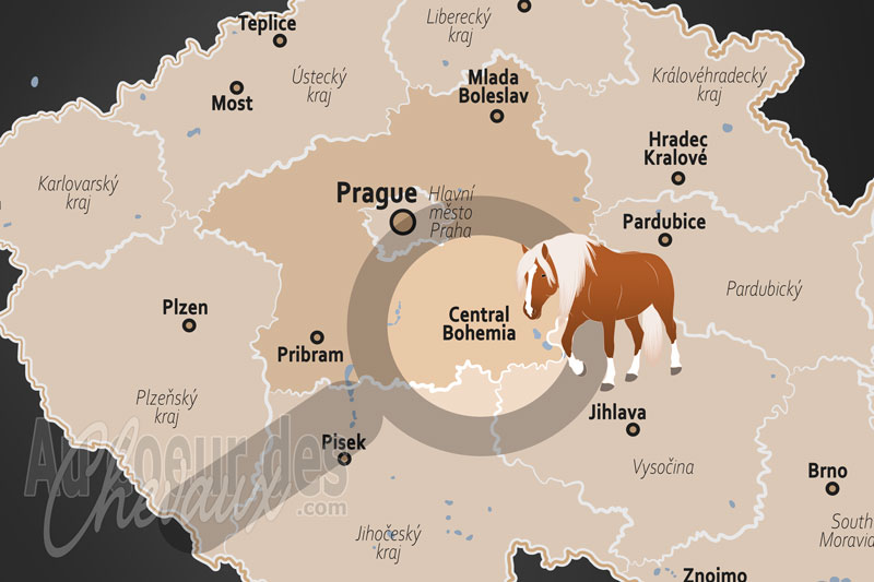La R�gion de Boh�me Centrale, le c?ur historique et sportif de l'�quitation tch�que