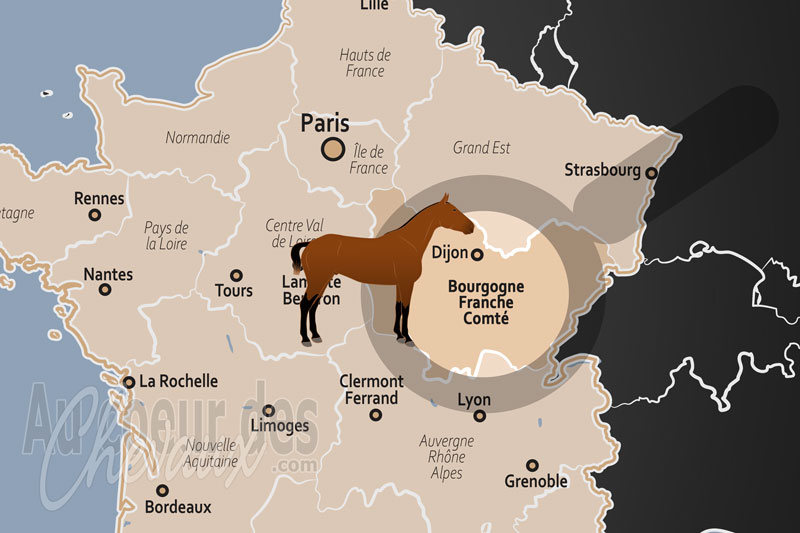 La R�gion de Bourgogne Franche Comt�, terre d'excellence entre trait comtois et sport de haut niveau