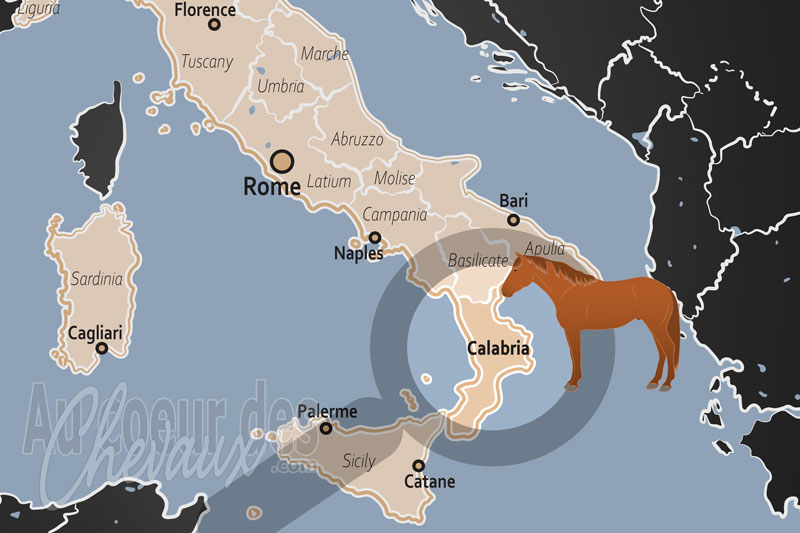 La R�gion de Calabre, l'h�ritage des montagnes et le destrier de la m�diterran�e