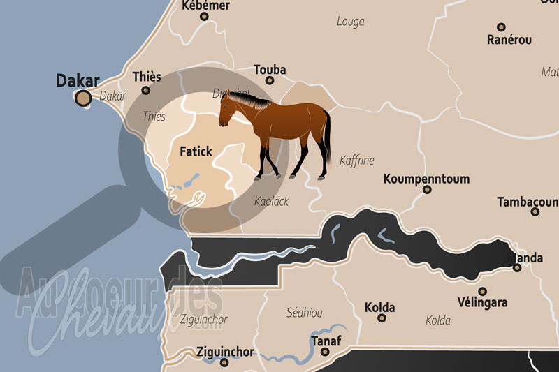 La R�gion de Fatick, quand le galop dicte la loi de fatick