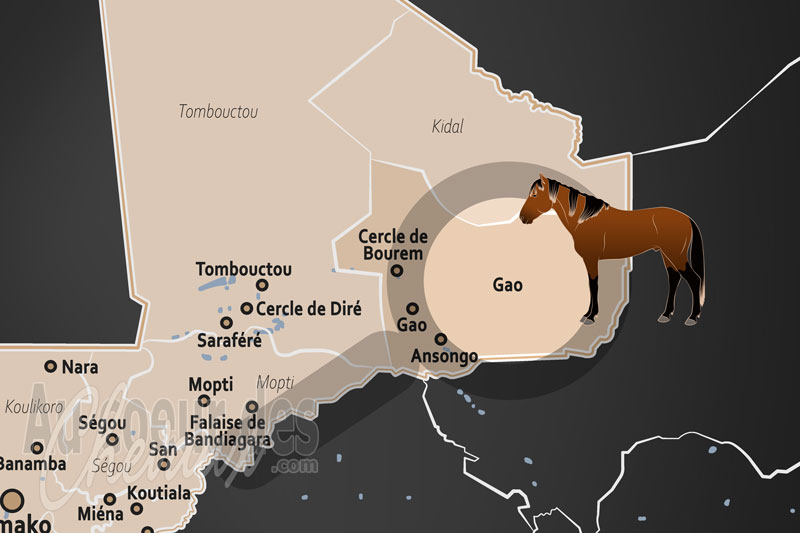 La R�gion de Gao, le galop �ternel entre sable et niger