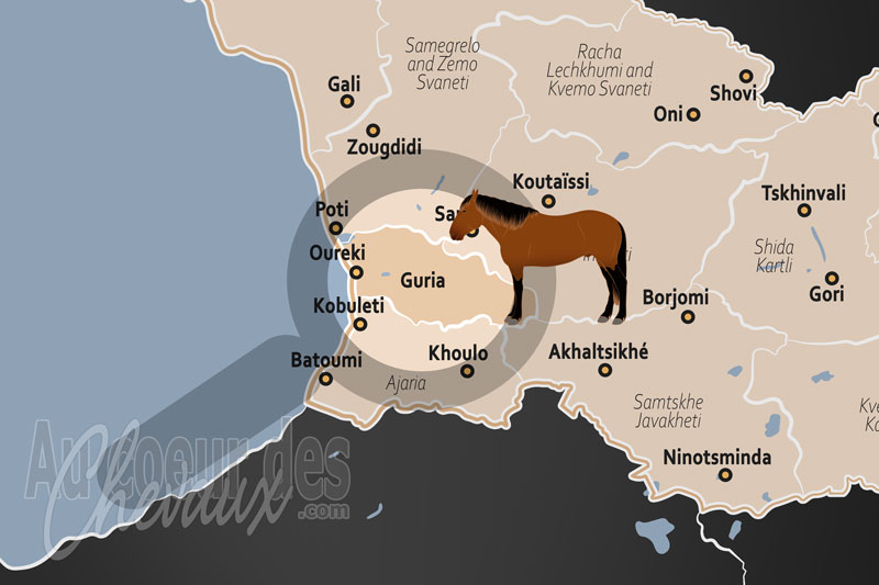 La R�gion de G�orgie, le galop des cimes au c?ur du caucase