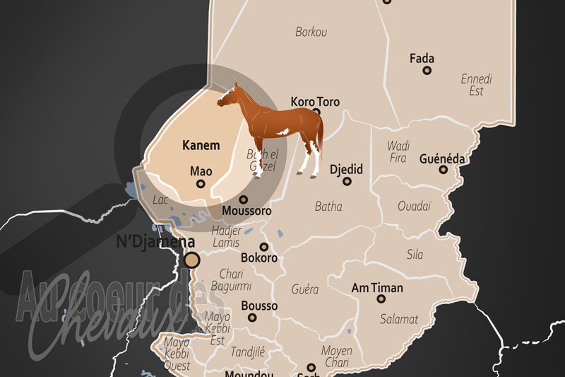 La R�gion de Kanem, l'empire du sable et le souffle des cavaliers