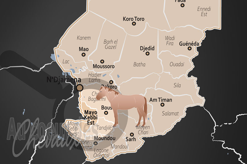 La R�gion de Mayo Kebbi Est, le galop souverain sur les rives du logone