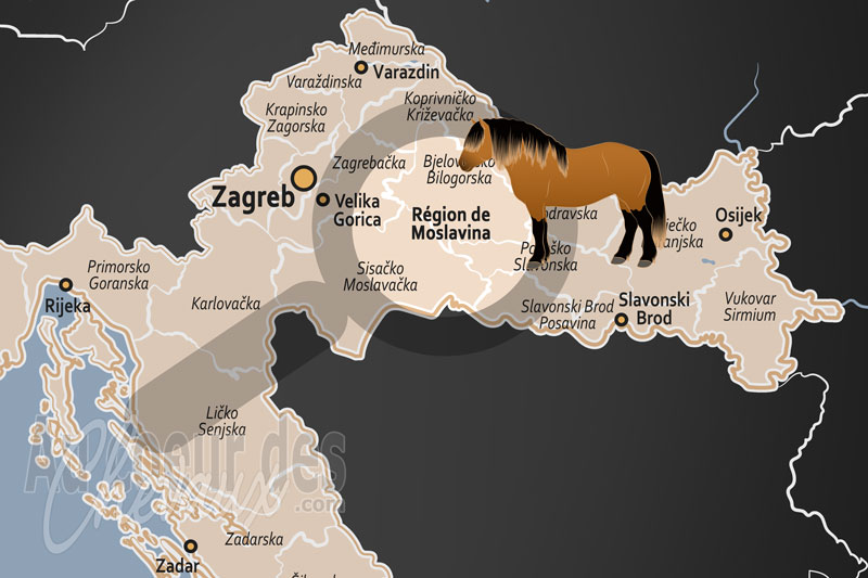 La R�gion de Moslavina, le royaume aquatique o� galopent les crins de fer