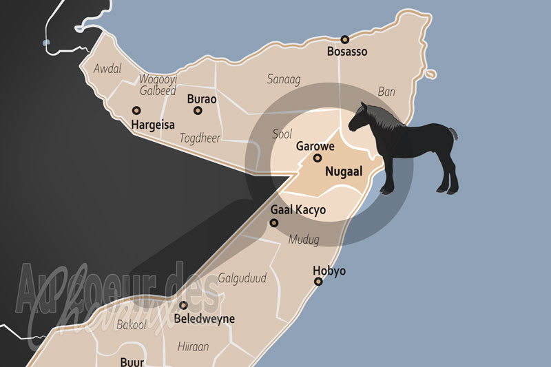 La R�gion de Nugaal, le destrier de la fiert� somalienne
