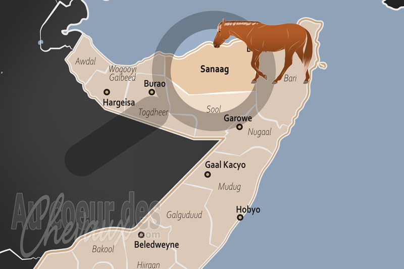 La R�gion de Sanaag, les crins de la montagne bleue et le galop des nuages