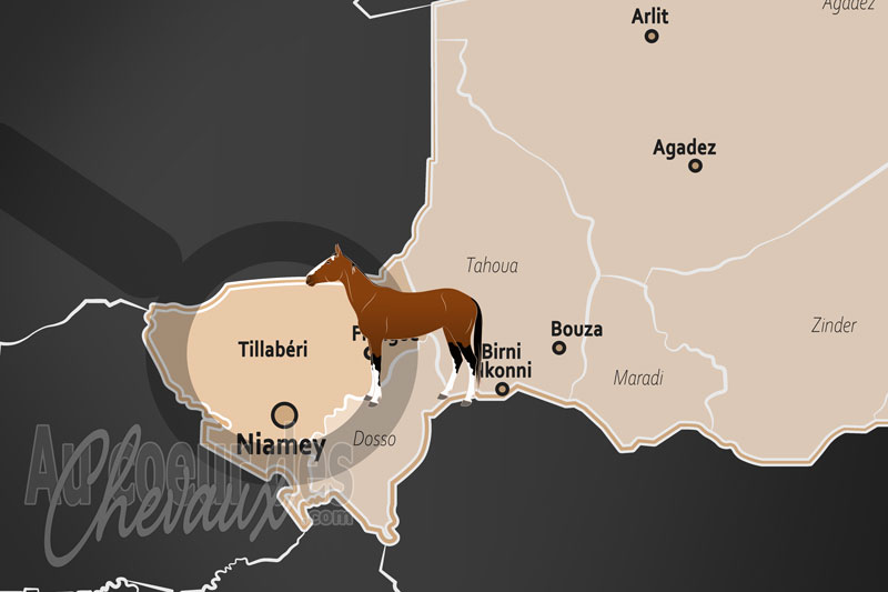 La localisation de la R�gion de Tillab�ri au Niger