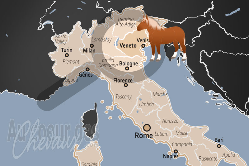 La localisation de la R�gion de V�n�tie en Italie