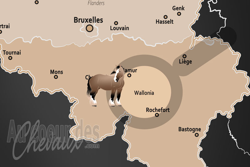 La R�gion de Wallonie, le royaume de l'or vert et des crins d'ardenne