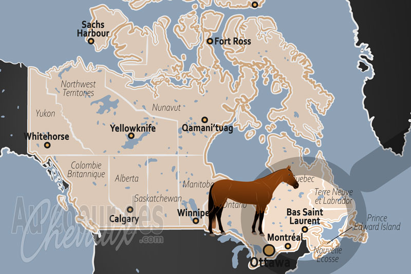 La localisation de la R�gion du Bas Saint Laurent au Canada