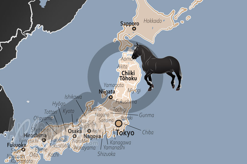 La localisation de la R�gion du Tohoku au Japon
