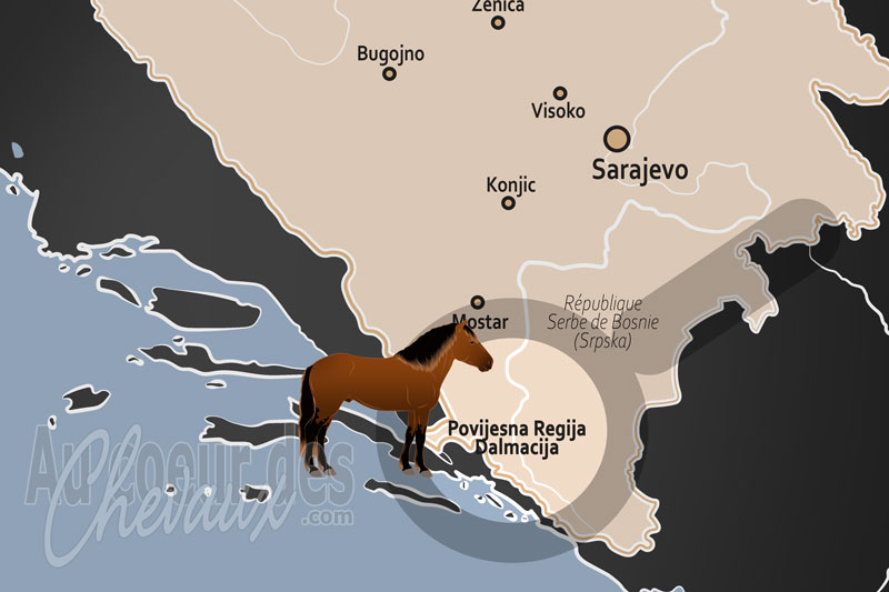 La localisation de la R�gion Historique de Dalmatie en Bosnie Herz�govine