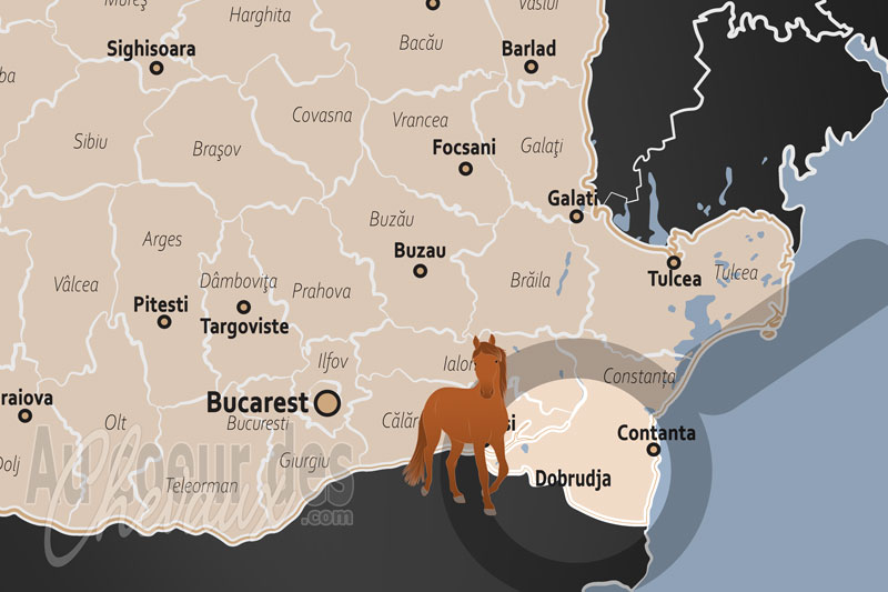 La R�gion Historique de Dobrog�e, le galop des crins sauvages entre delta et steppe