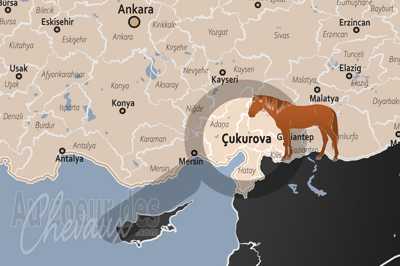La localisation de la R�gion Naturelle de �ukurova en Turquie