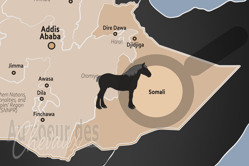La localisation de la R�gion Somali en �thiopie