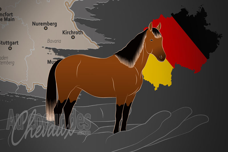 L'Association R�gionale de Basse Bavi�re Haut Palatinat e.V., une organisation qui g�re le cheval rottaler en allemagne