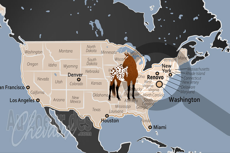 La localisation de Renovo aux �tats Unis