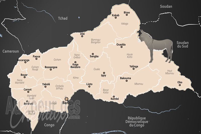 La R�publique Centrafricaine, entre tradition sah�lienne et barri�res sanitaires
