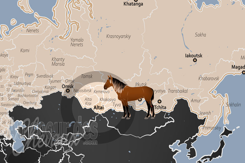 La R�publique de l'Alta�, le galop sacr� au sommet des montagnes d'or
