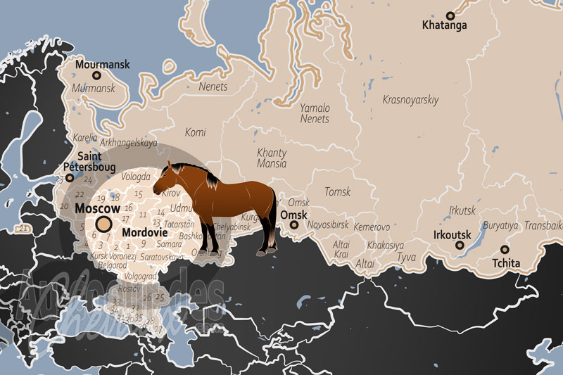 La localisation de la R�publique de Mordovie en Russie