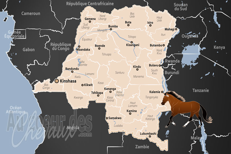 La R�publique D�mocratique du Congo, une pr�sence sous haute surveillance sanitaire