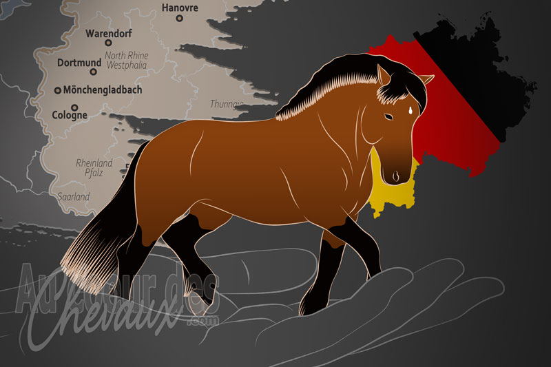 Le Livre G�n�alogique du Cheval Rh�nan e.V., une organisation qui g�re le cheval rh�nan en allemagne