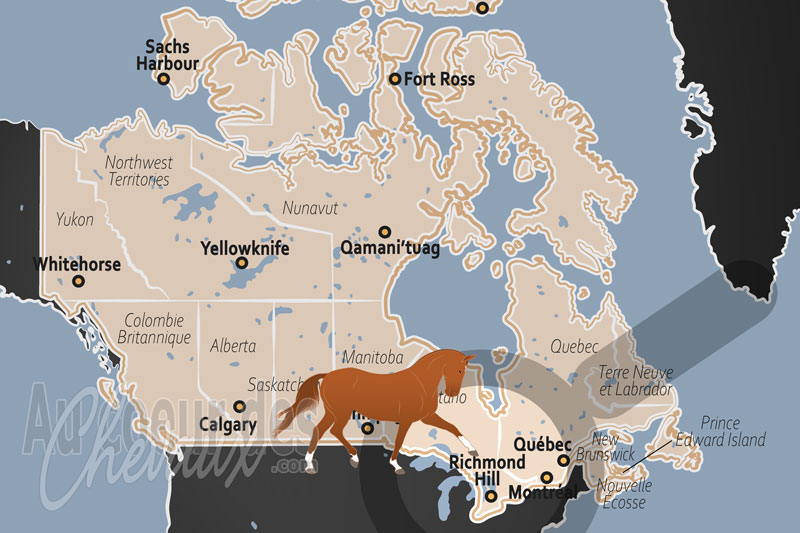 La localisation de Richmond Hill au Canada