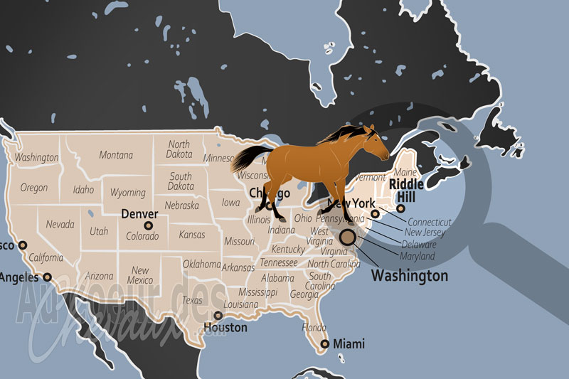 La localisation de Riddle Hill aux �tats Unis