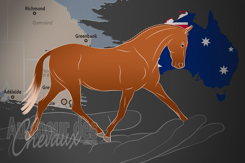 Le Riding Pony Stud Book Society Ltd. un organisme de race en Australie