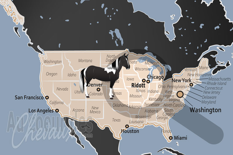 La localisation de Ridott aux �tats Unis