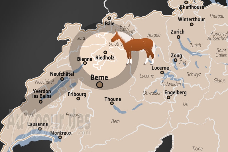 La localisation de Riedholz en Suisse