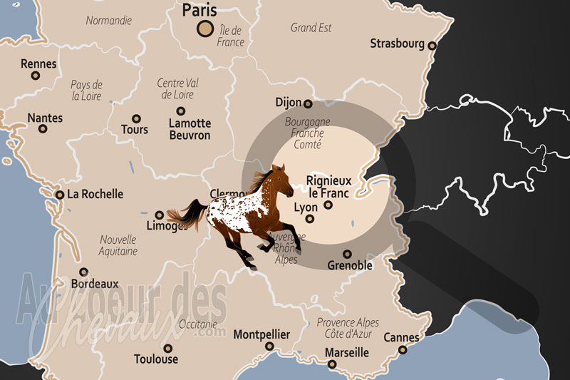 La localisation de Rignieux le Franc en France